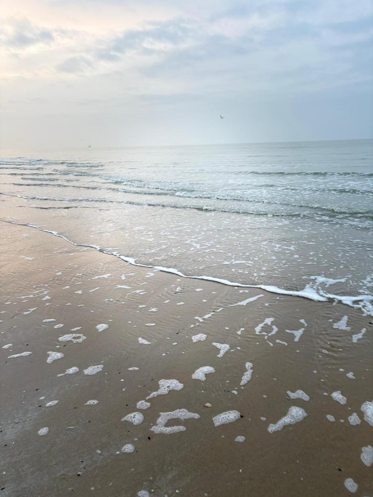 Middelkerke - Frontaal Zeezicht Lägenhet Exteriör bild